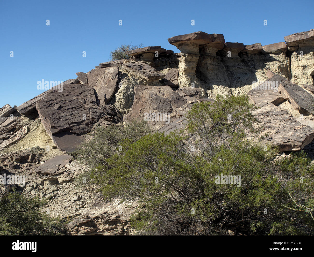 El Parque Provincial Ischigualasto, en San Juan, Argentina Fotografía ...