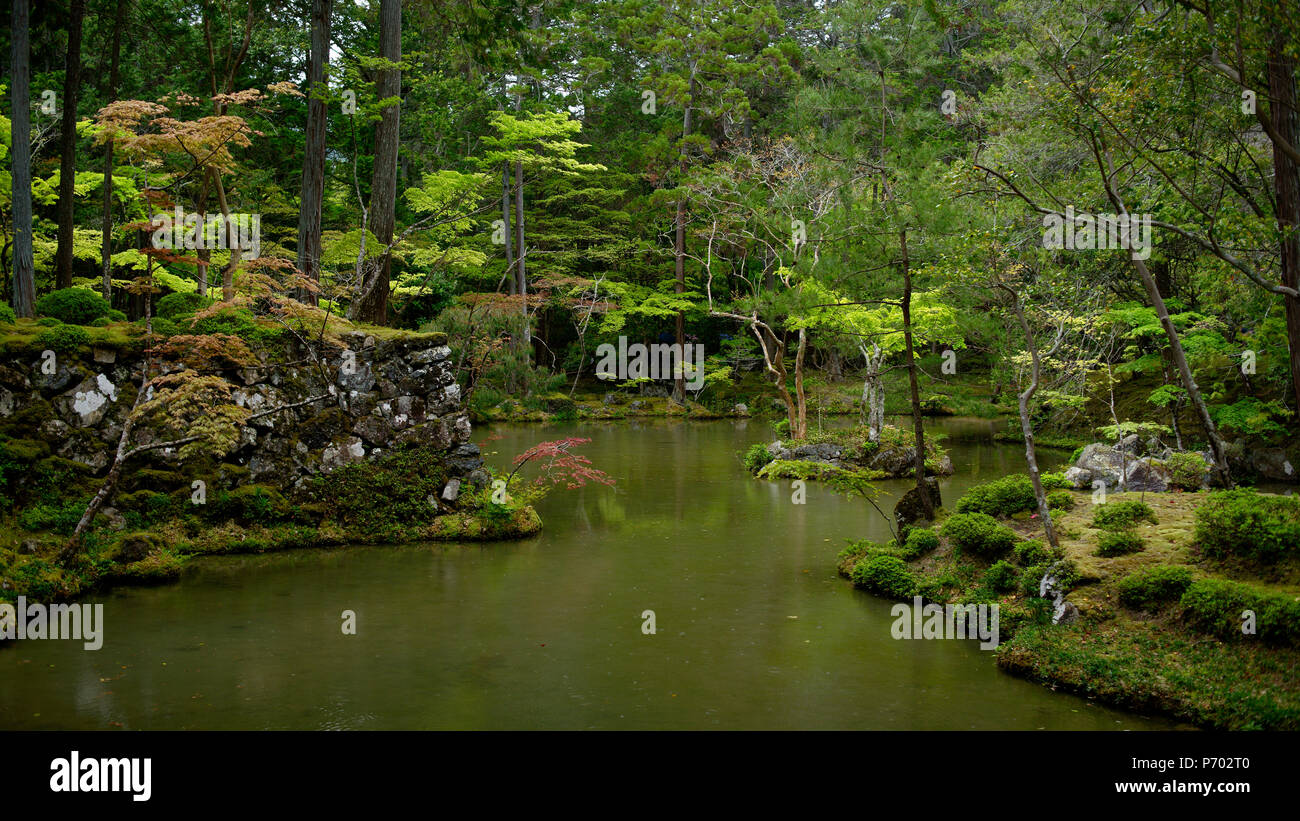 El musgo en los jardines japones