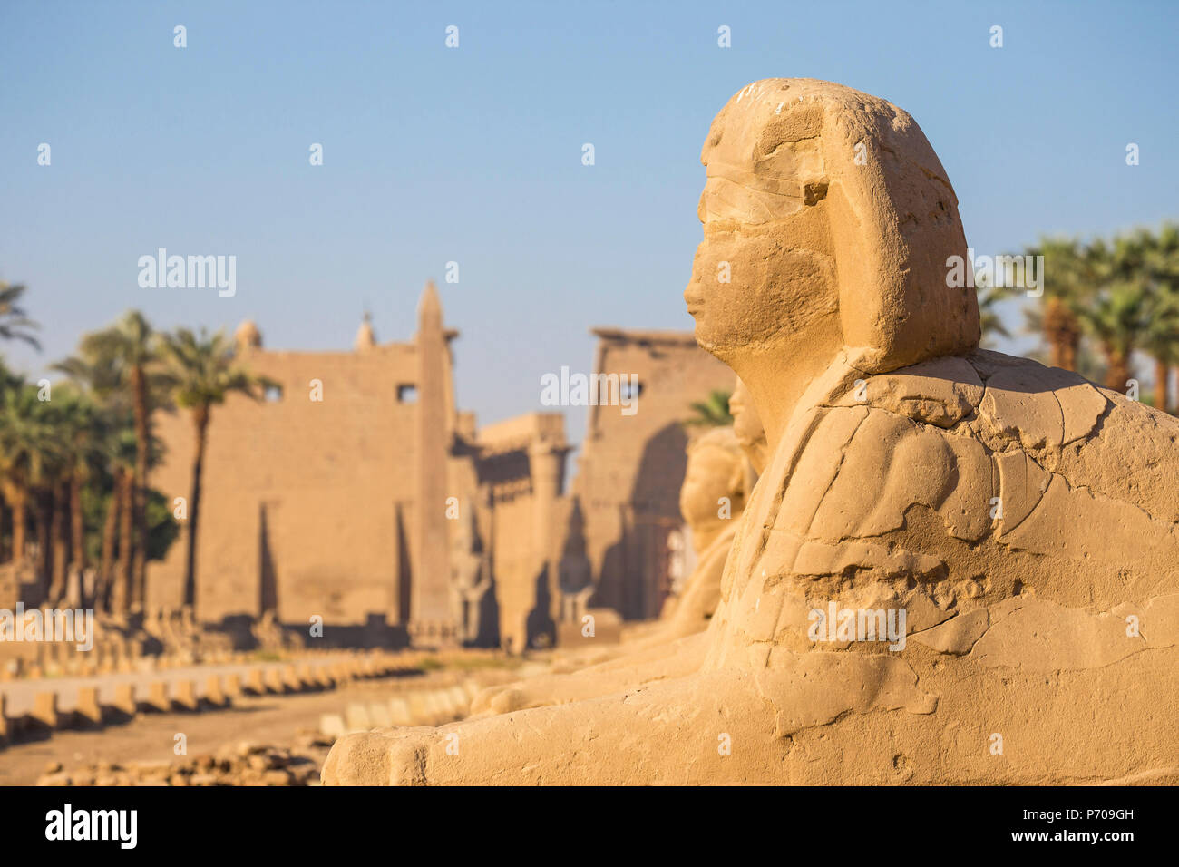 Egipto, Luxor, el Templo de Luxor, Avenida de Spinxes y la entrada al templo conocido como primer pilón Foto de stock