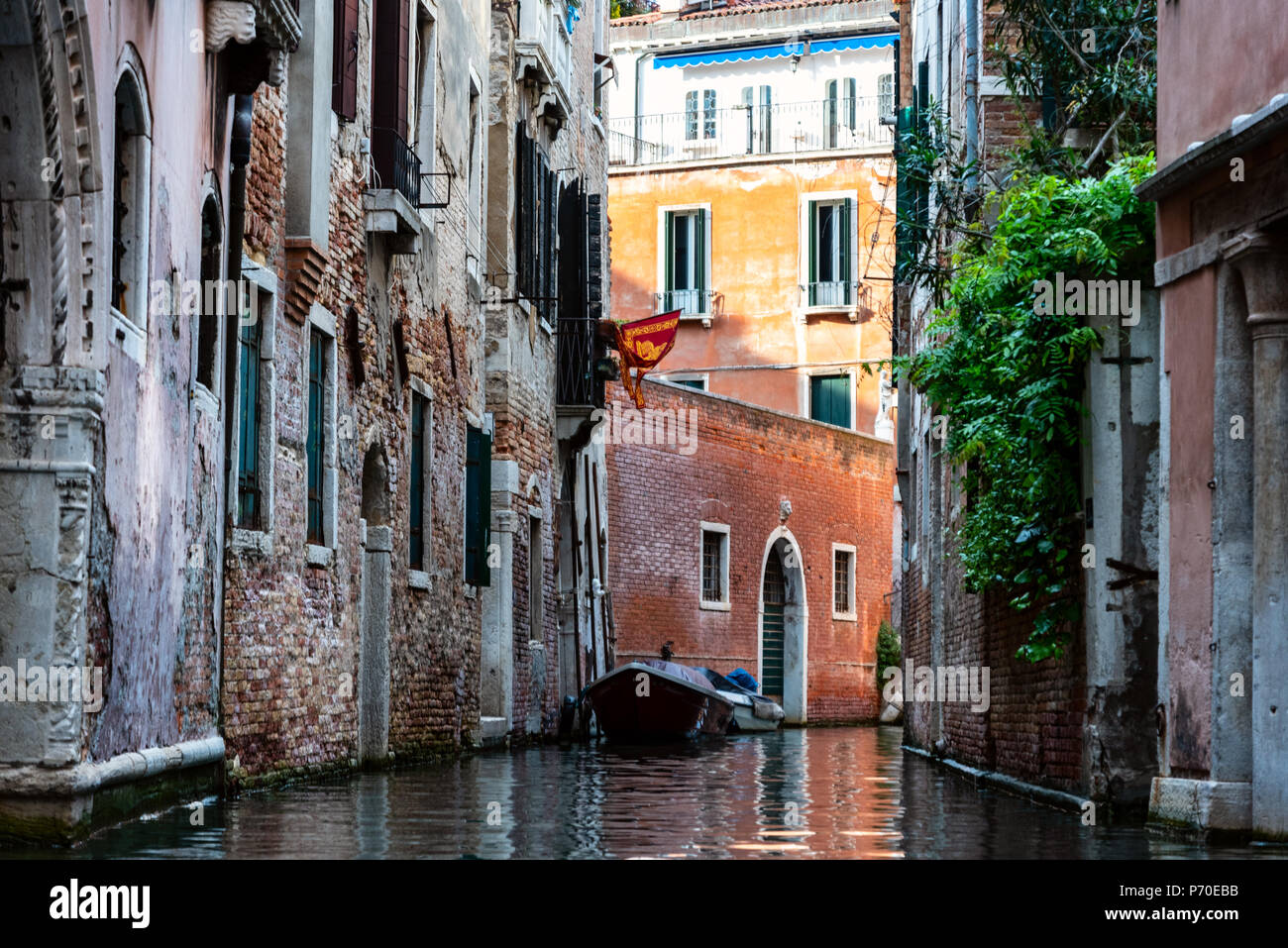 Venecia (Italia), adoptadas durante la primavera. Foto de stock