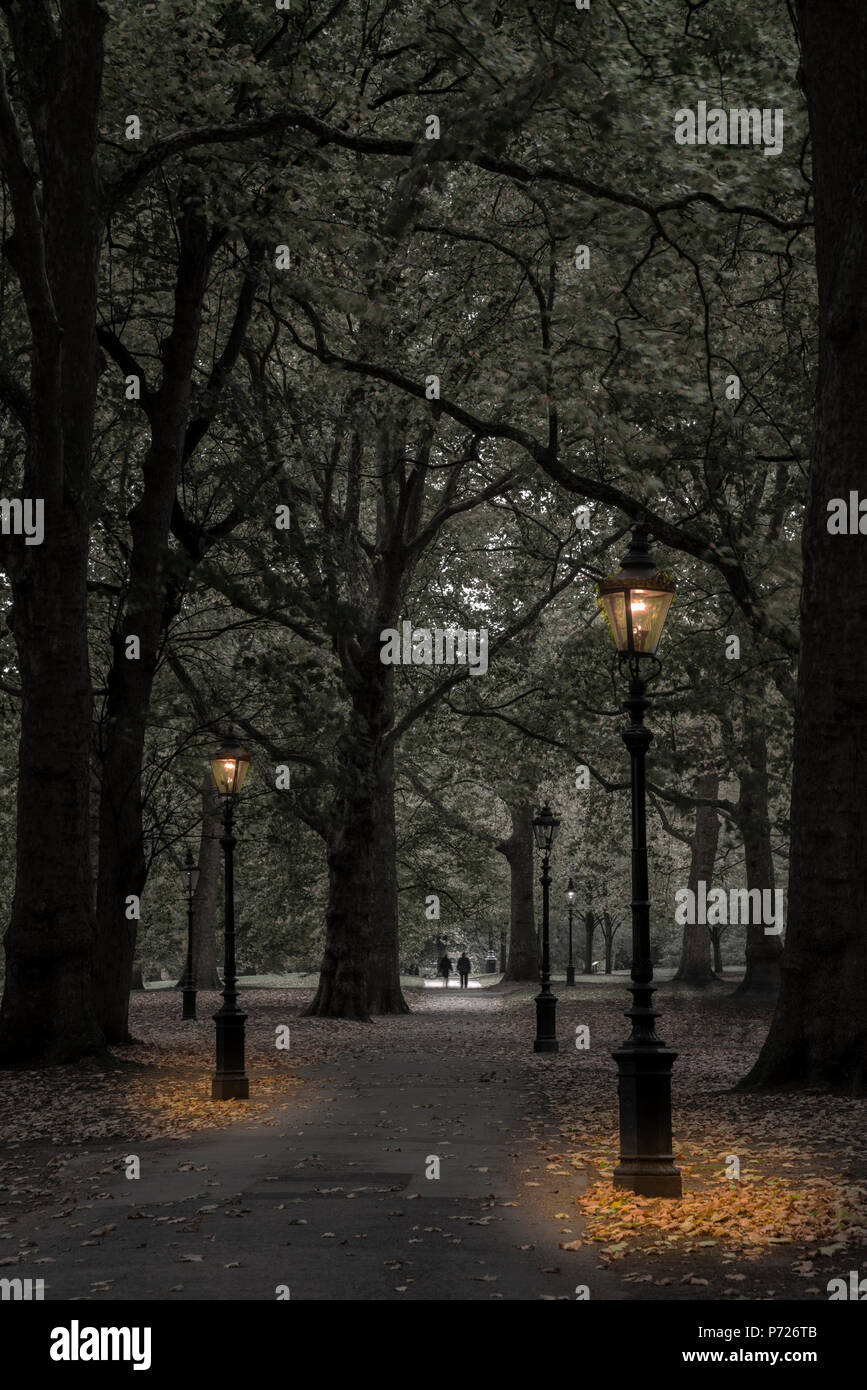 Green Park al anochecer, Westminster, London, England, Reino Unido, Europa Foto de stock