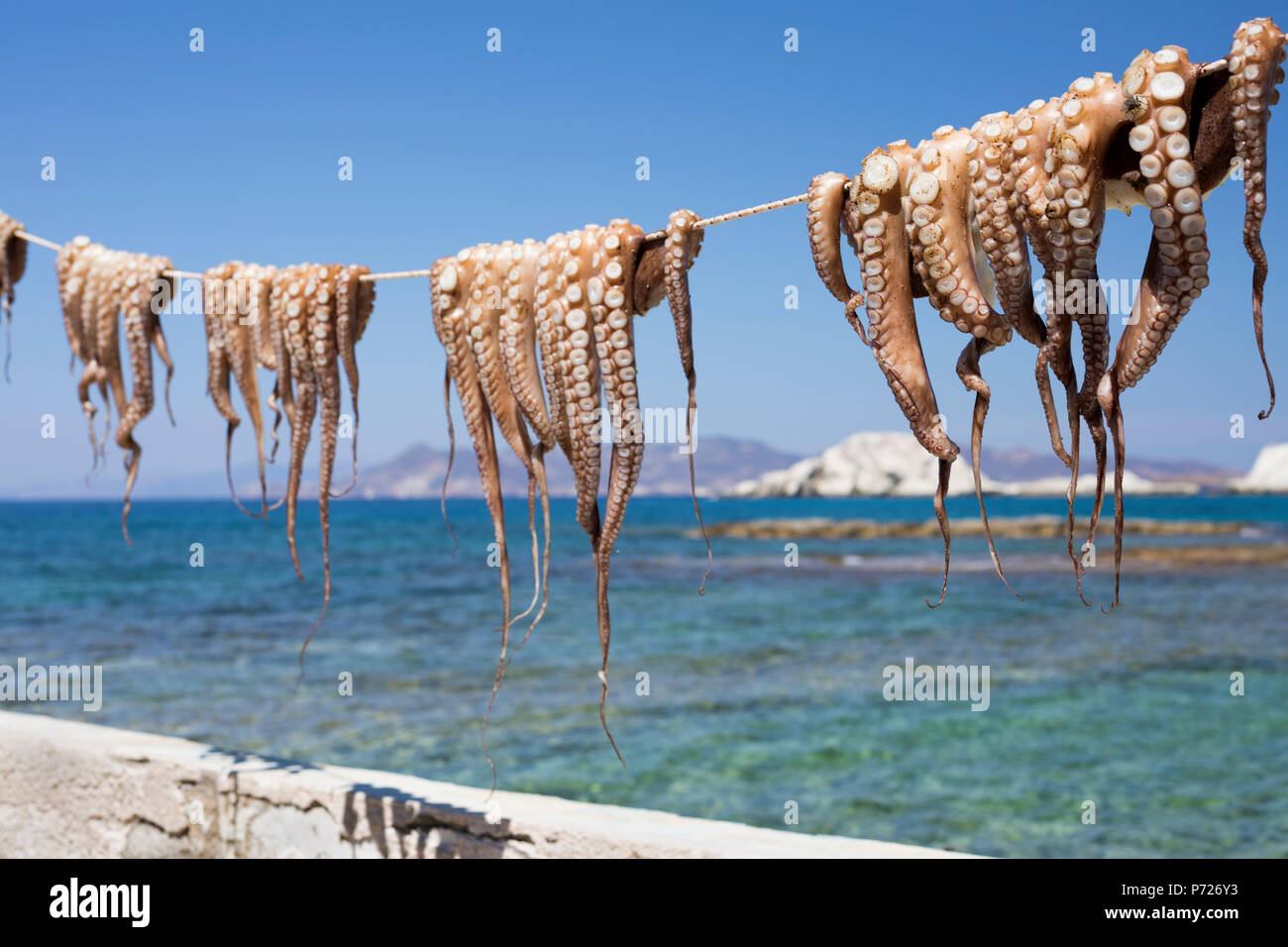 Secar el pulpo, Mandrakia, Milos, Cyclades, islas griegas del Mar Egeo, Grecia, Europa Foto de stock