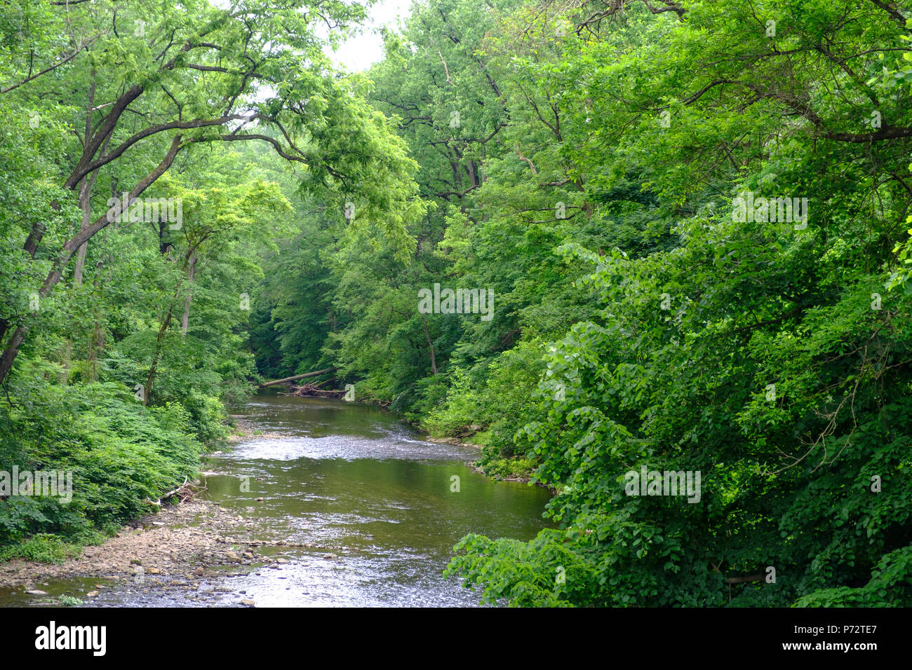 Arroyo Wissahickon en 1.800 acres de parque Valle Wissahickon,el noroeste de Filadelfia, Pensilvania, EE.UU. Foto de stock