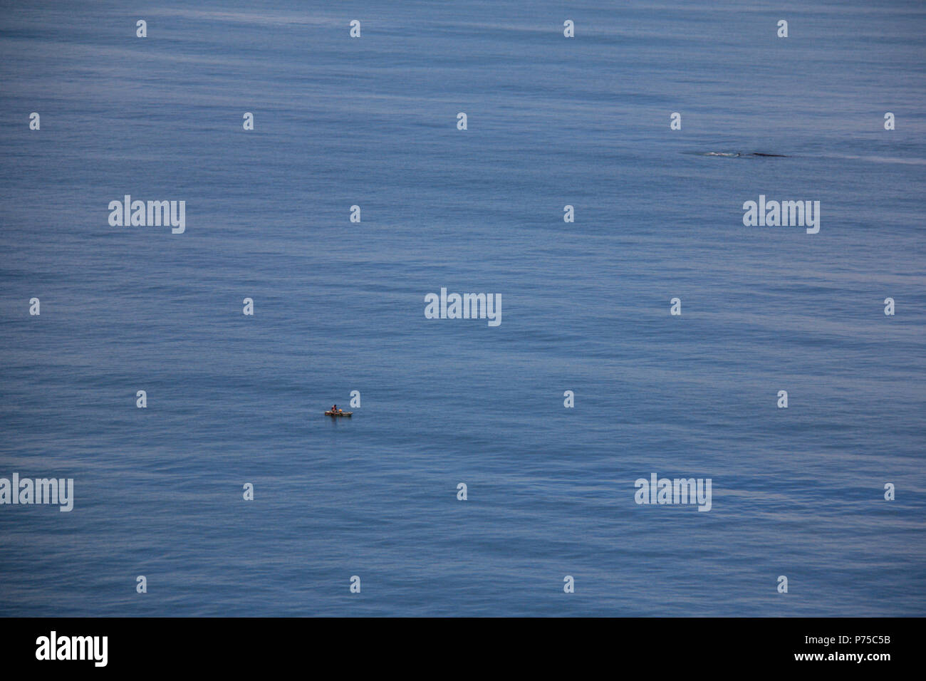 Pescador aisladas en canoa con la ballena jorobada en el fondo Foto de stock