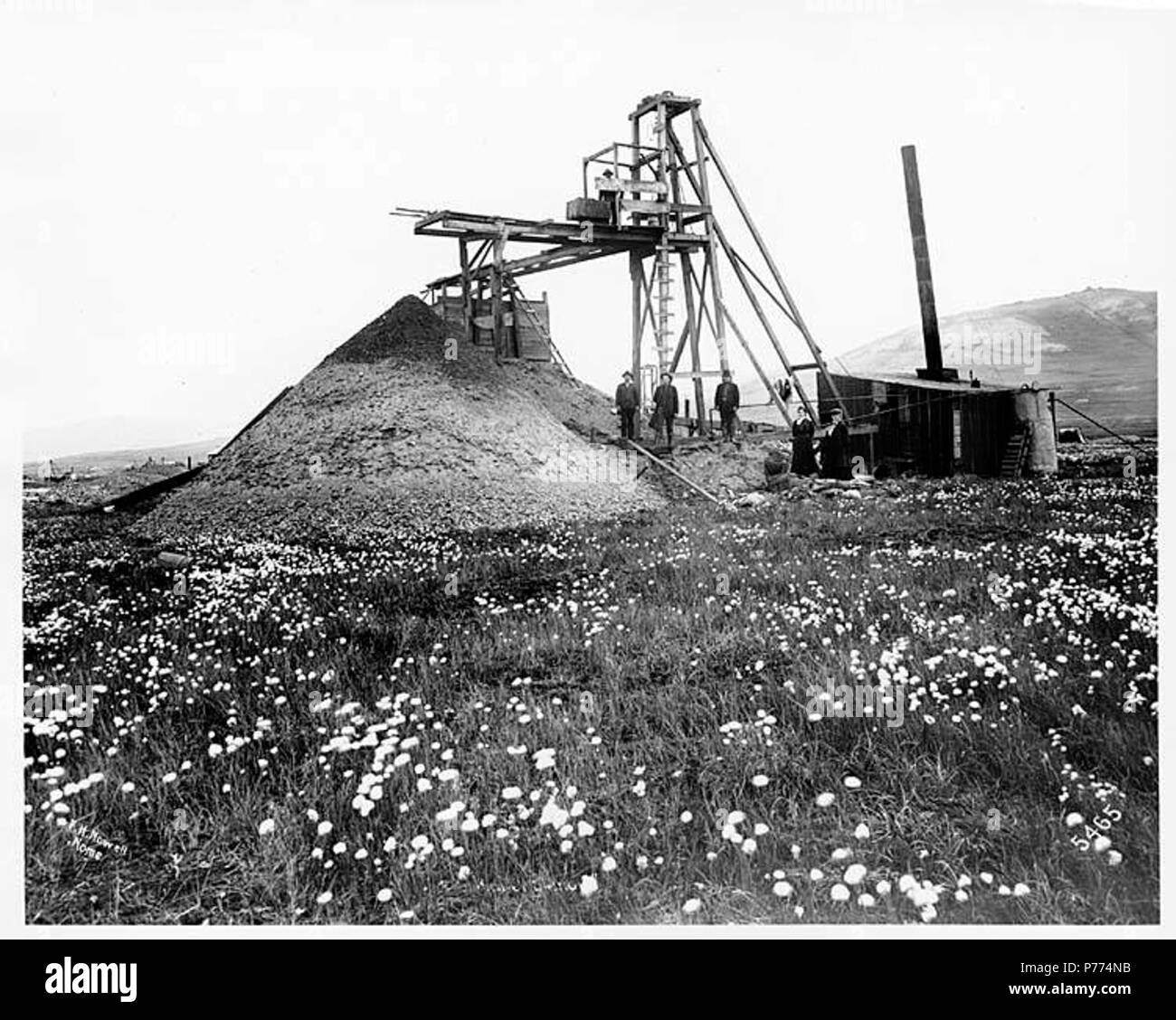 . Inglés: operación minera, Dakota del Norte. Inglés: Título de la imagen: [illeg] F.H. Nowell, Nome, 5465 en el reverso de la imagen: Mabel LCTGM sujetos (Banco): equipos de minería de oro--Alaska sujetos (LCSH): las minas de oro y la minería--Alaska . Fecha desconocida 9 operación minera, nd (Nowell 158) Foto de stock