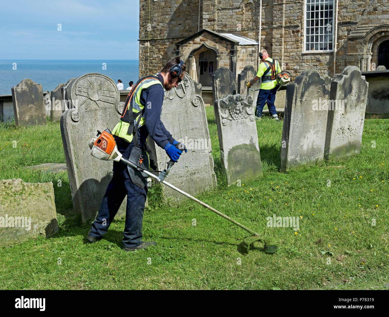 Jardineros strimming, St Mary's Church, Whitby, North Yorkshire, Inglaterra Foto de stock