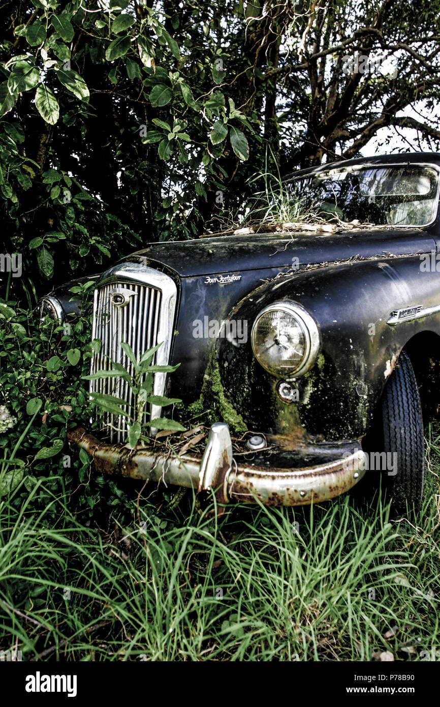 Viejo coche abandonado en el arbusto Foto de stock