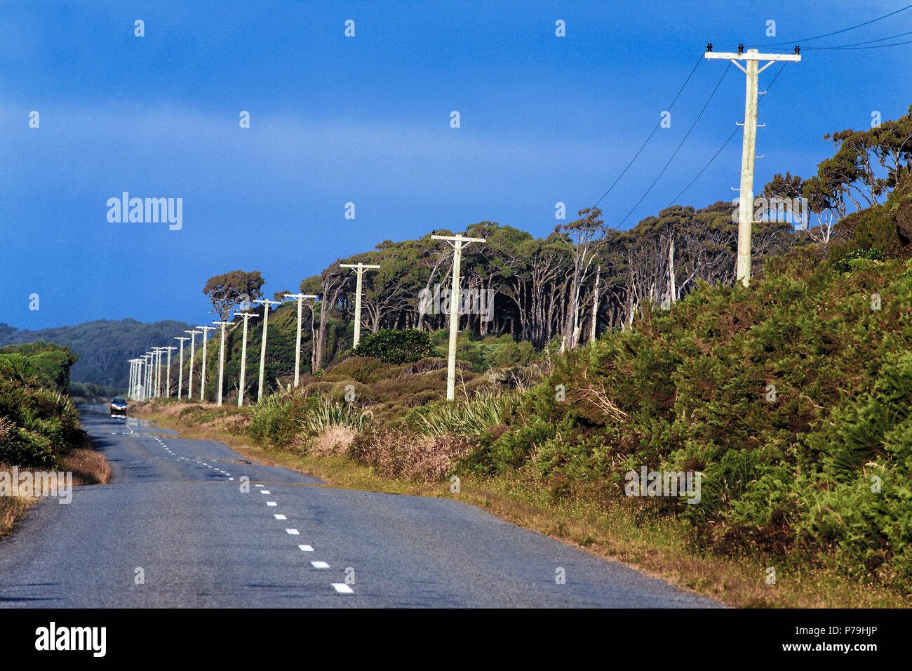 Carretera a Jackson Bay en la costa oeste, Nueva Zelanda Foto de stock