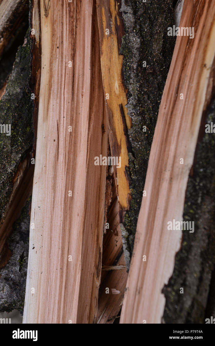 Piedemonte occidental, norte de Italia: detalles de madera dividido en un ecoaldeas Foto de stock