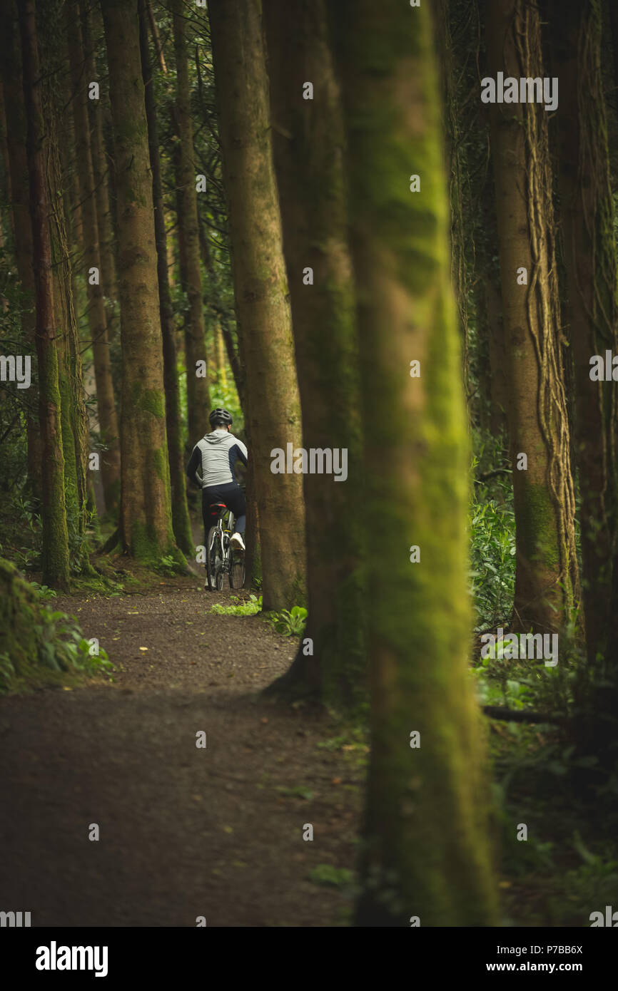 Ciclista bicicleta Equitación a través de exuberante bosque Foto de stock
