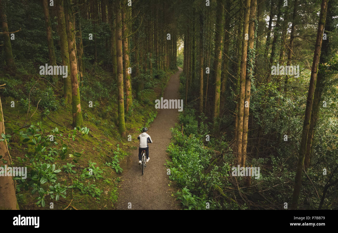 Ciclista bicicleta Equitación a través de exuberante bosque Foto de stock
