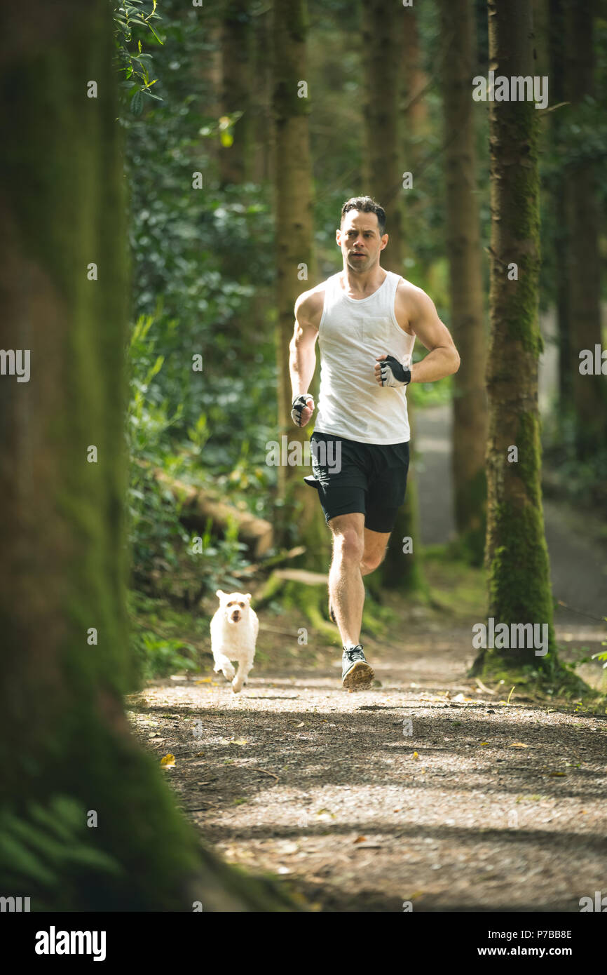 Hombre corriendo en un frondoso bosque Foto de stock