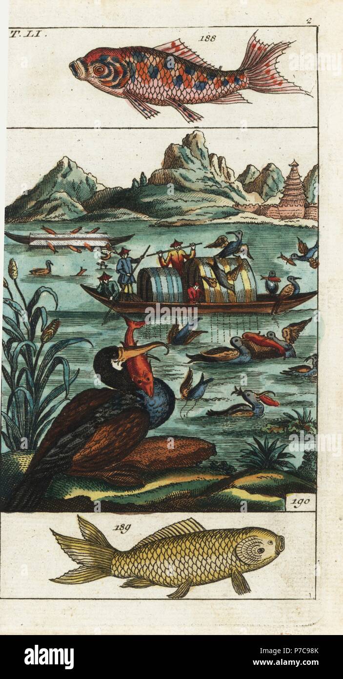 Los pescadores chinos utilizan cormoranes para pescar en el río, y 190  especies de carpa dorada, arlequín 188 y 189 carpas de azufre. Copperplate  Handcolored grabado de Gottlieb Tobias Wilhelm's Encyclopedia of