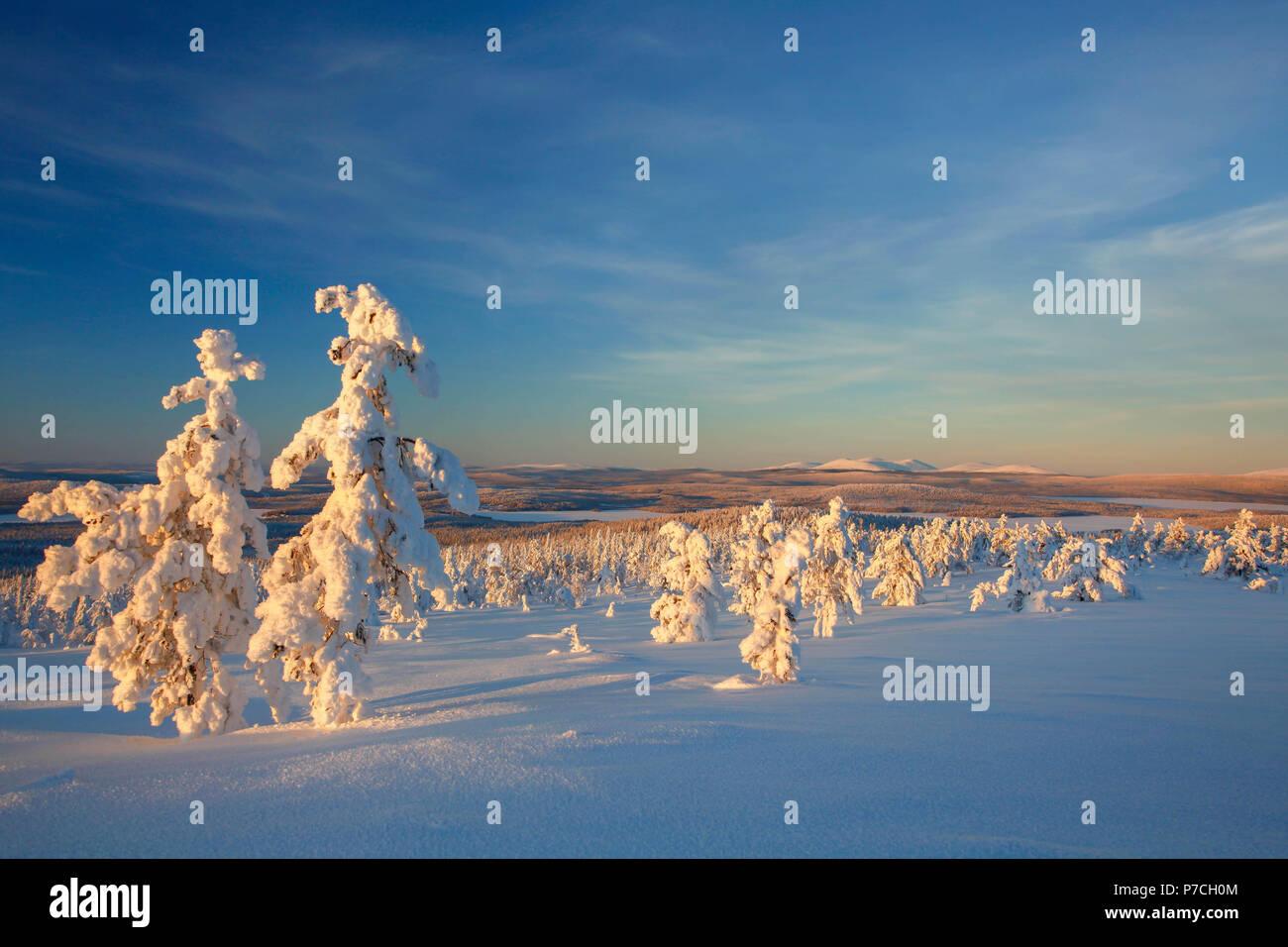 Escena de Invierno de cayó Särkituntturi en Muonio, Finlandia, Laponia Foto de stock