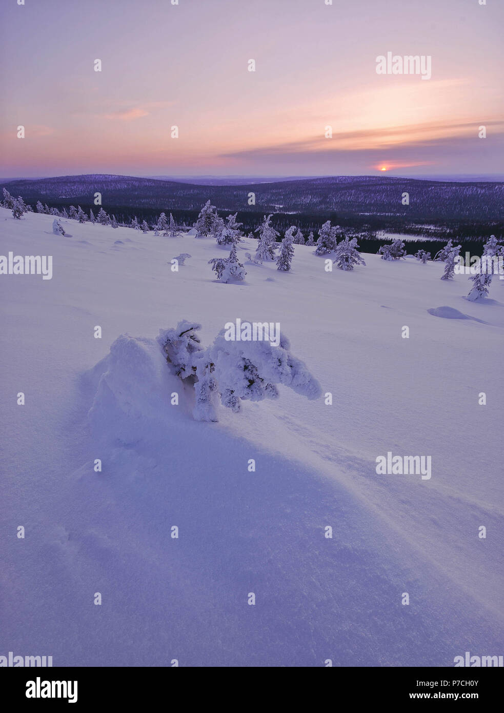 Escena de Invierno de cayó Särkituntturi en Muonio, Finlandia, Laponia Foto de stock