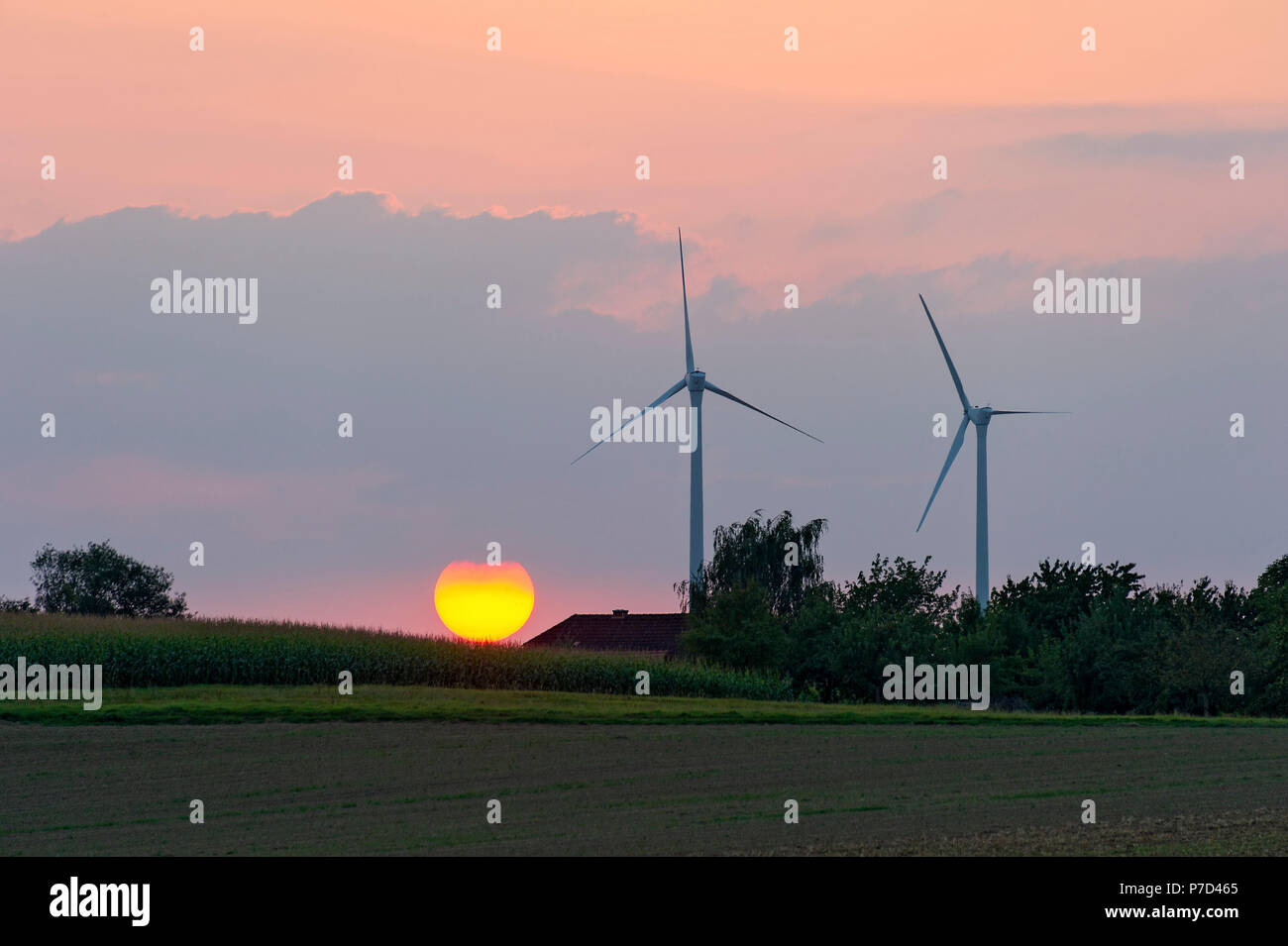 Turbinas de viento en la parte delantera de la puesta del sol, Nidda, Hesse, Alemania Foto de stock