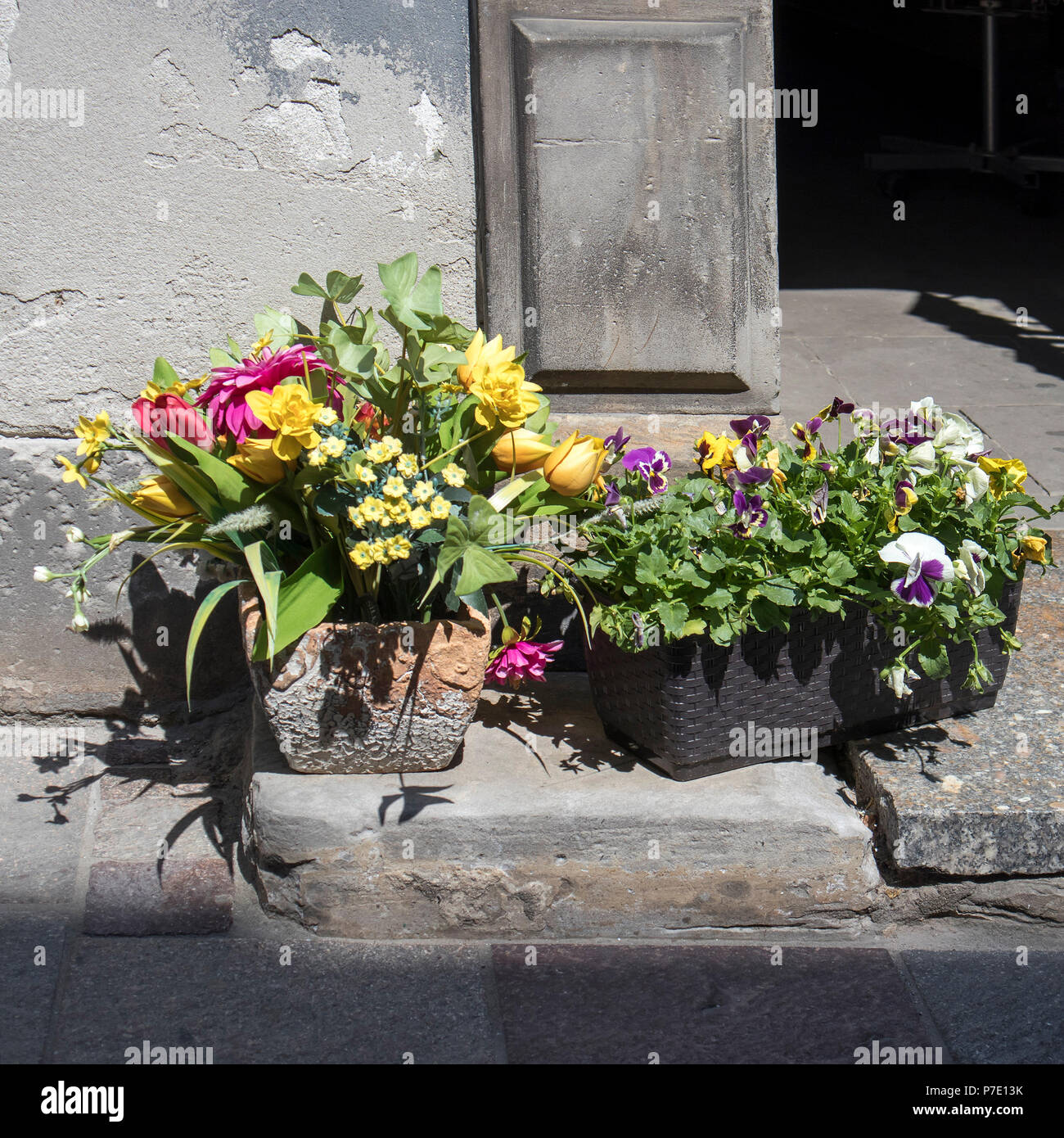 Cesta con violetas y Ramo de tulipanes artificiales, crisantemos, Lirios  del valle y ranúnculos, decoran la entrada al restaurante Fotografía de  stock - Alamy