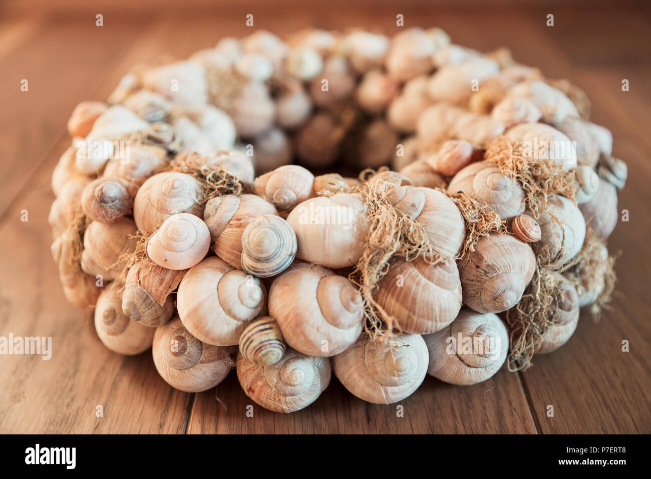 Hecho en casa caracoles secos Corona decoración colgantes Fotografía de  stock - Alamy