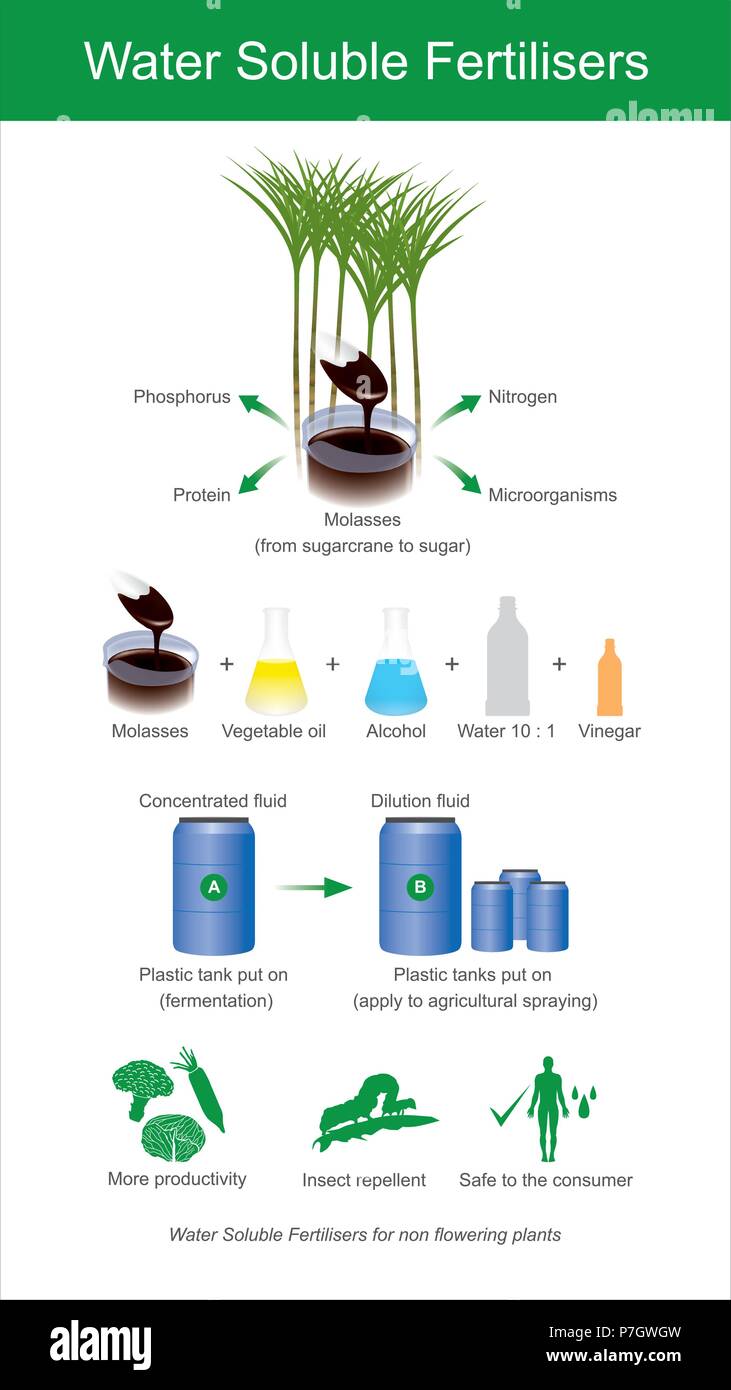 Los fertilizantes solubles en agua. La melaza de caña de azúcar se fermenta para producir microorganismos. Ilustración del Vector