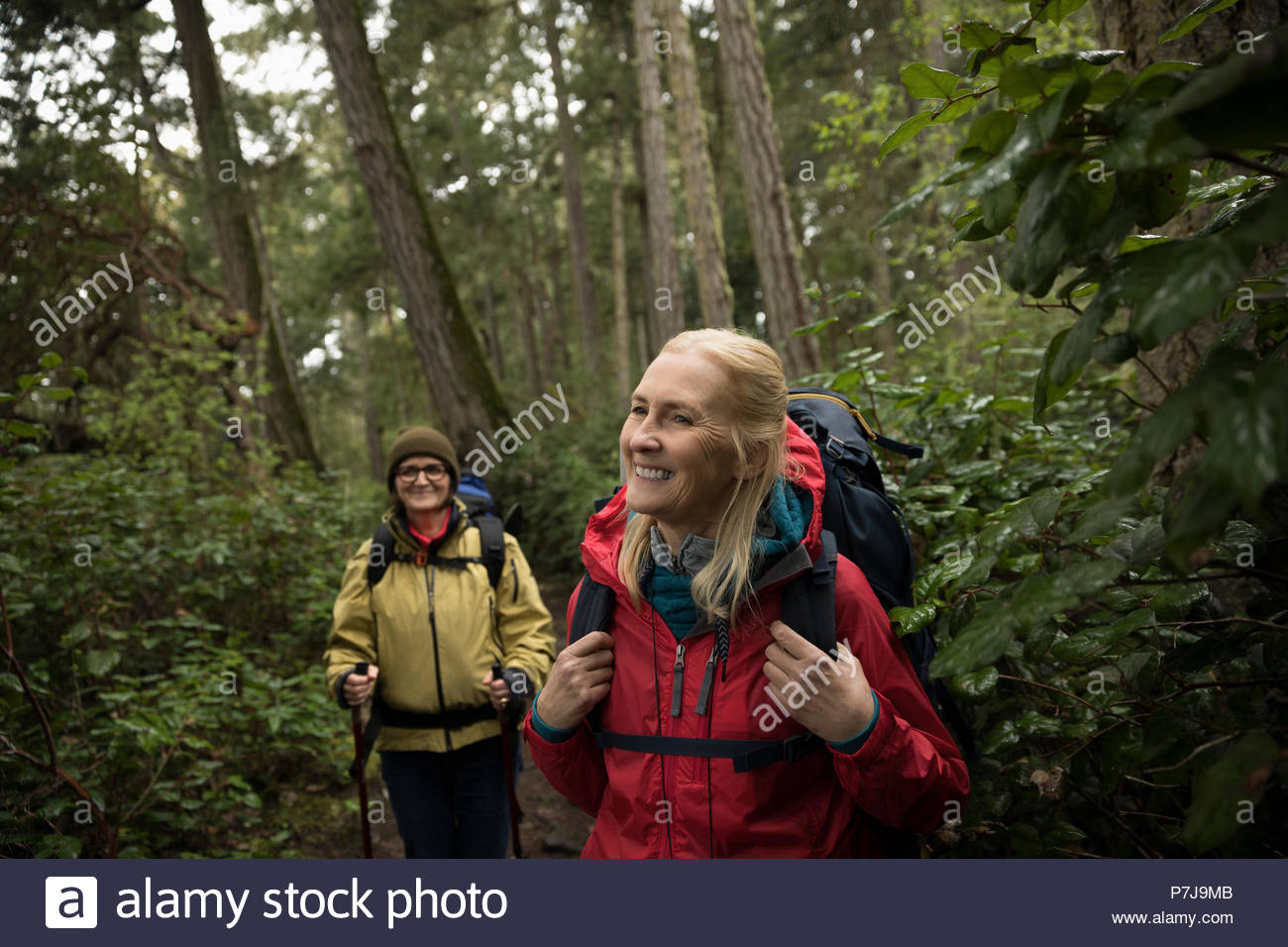 Sonriente, despreocupado senior activo mujeres excursionistas caminatas en el bosque Foto de stock