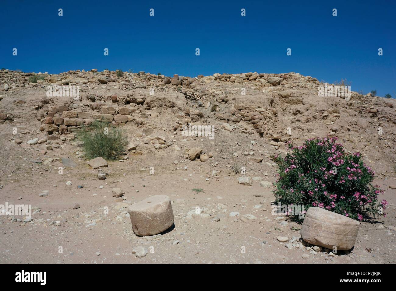 Petra. Importante enclave arqueológico en Jordania. Capital del antiguo reino nabateo. Foto de stock