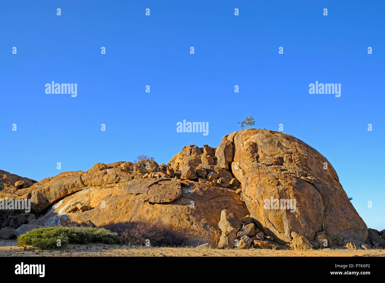 Grandes rocas monolíticas, erosionada con la colina de deslizamiento del rock y el árbol en la parte superior de la zona de Brandberg en Namibia, Damaraland Foto de stock