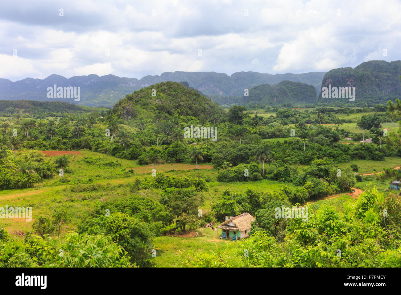 Valle de Viñales, vista panorámica a través de exuberante paisaje verde, provincia de Pinar del Río, Cuba Foto de stock