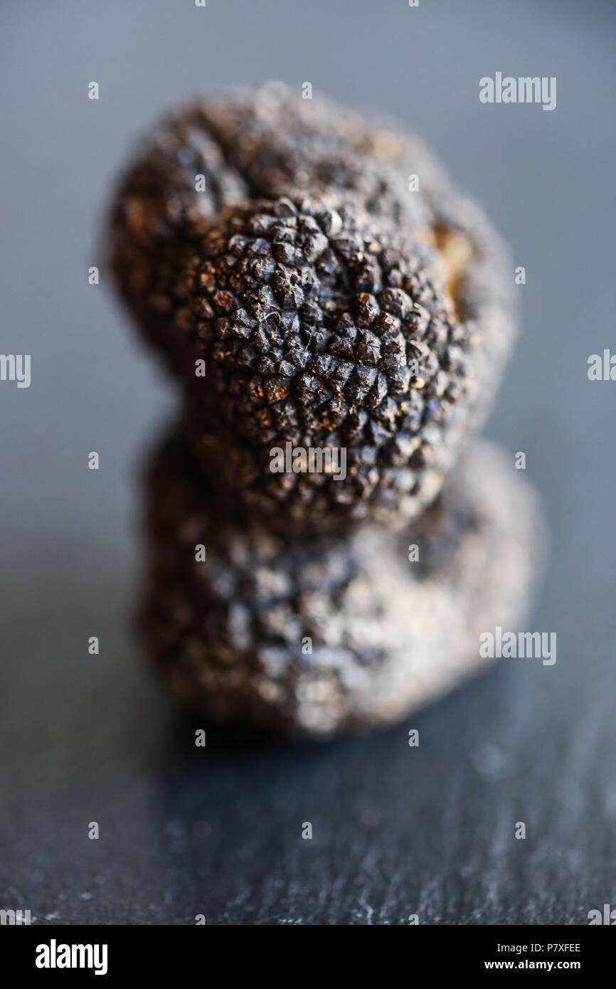 Fresco Verano Negro Trufa, el diamante de la cocina. Foto de stock