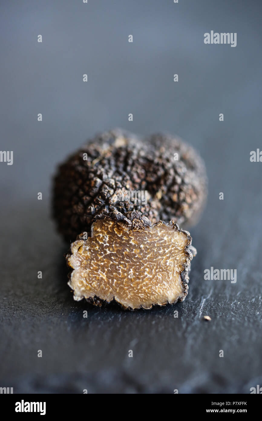 Fresco Verano Negro Trufa, el diamante de la cocina. Foto de stock