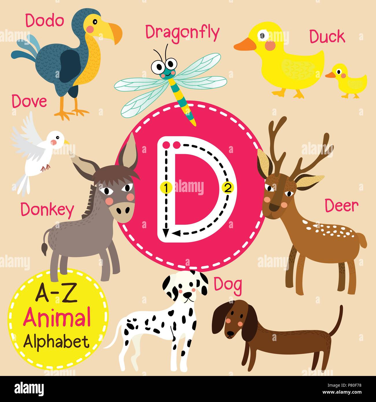 trabajo duro Empuje veneno Cute zoo para niños alfabeto letra D rastreo de animales divertidos dibujos  animados para los niños el aprendizaje de vocabulario en inglés Imagen  Vector de stock - Alamy