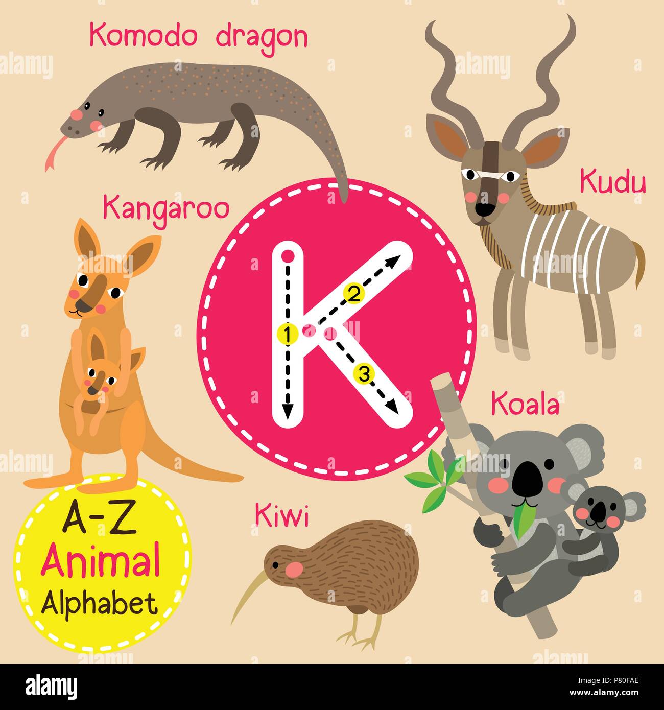 Cute zoo para niños alfabeto letra K rastreo de animales divertidos dibujos  animados para los niños el aprendizaje de vocabulario en inglés Imagen  Vector de stock - Alamy