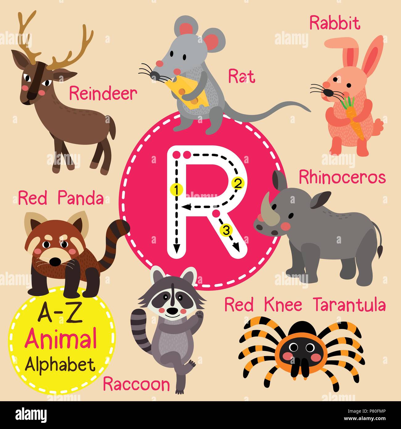 Cute zoo para niños alfabeto letra R el rastreo de animales divertidos  dibujos animados para los niños el aprendizaje de vocabulario en inglés  Imagen Vector de stock - Alamy