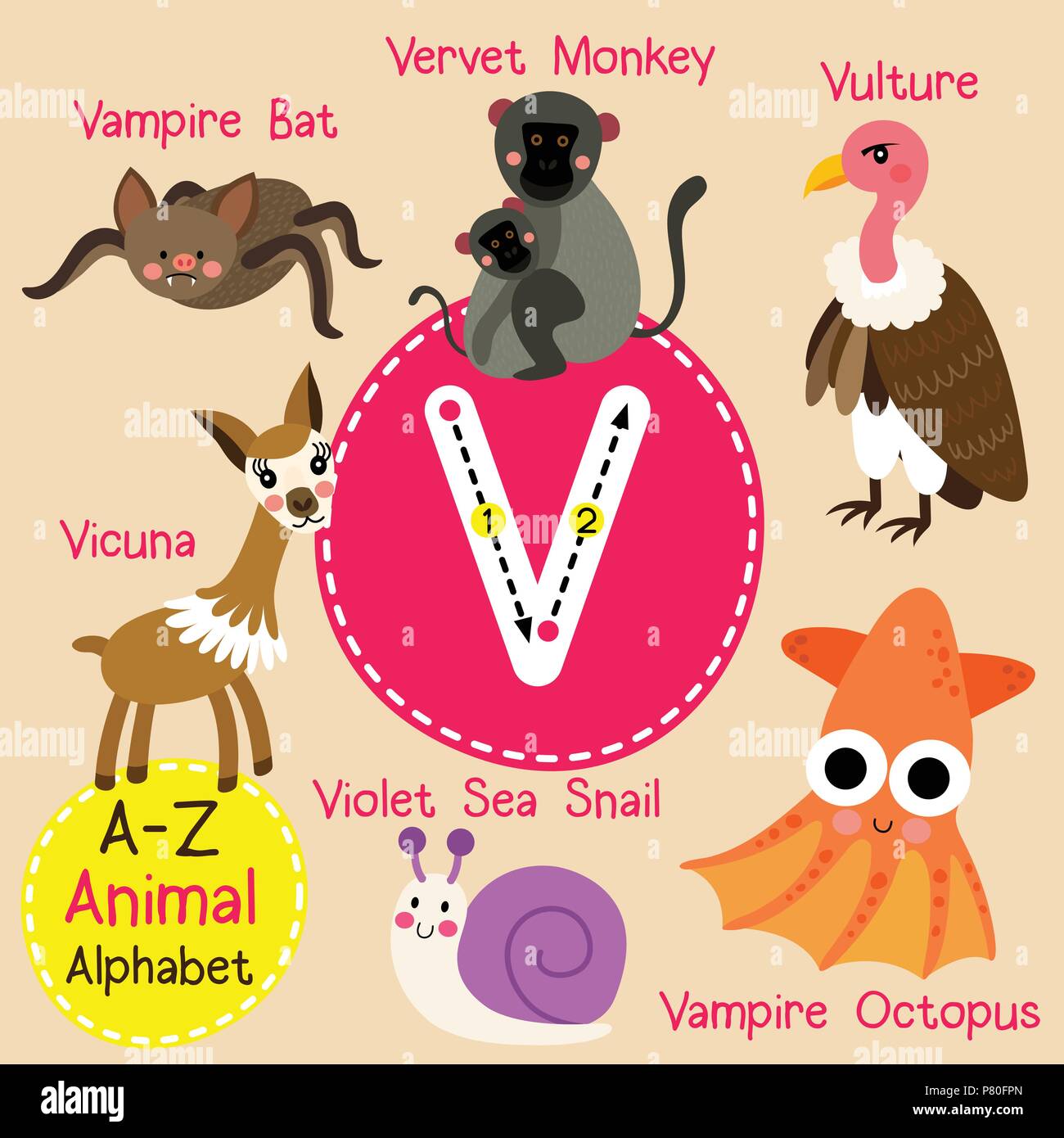 Cute zoo para niños alfabeto letra V el rastreo de animales divertidos  dibujos animados para los niños el aprendizaje de vocabulario en inglés  Imagen Vector de stock - Alamy