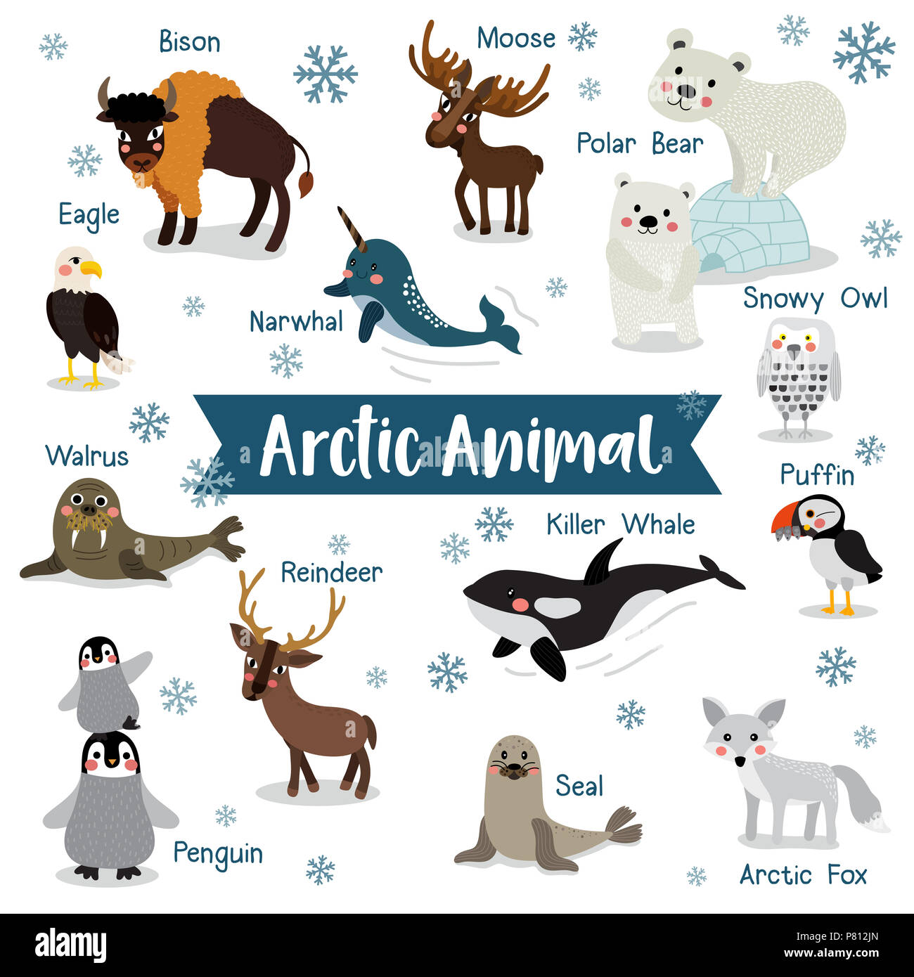 Dibujos animados animales árticos en fondo blanco con nombre de animal.  Penguin, el oso polar, el reno. La morsa. El alce. Búho nival. Zorro  ártico. Eagle. Killer Whale Fotografía de stock -