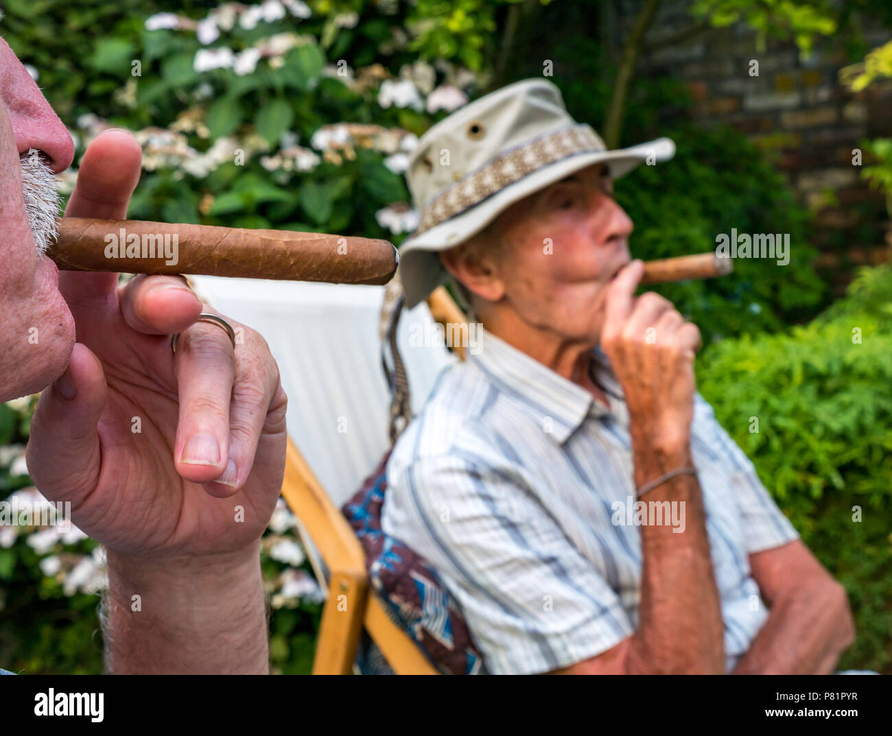 Cerca de dos altos hombres sentados en sillas de cubierta en un jardín de verano disfruta de fumar un cigarro cubano, Londres, Inglaterra, Reino Unido. Foto de stock