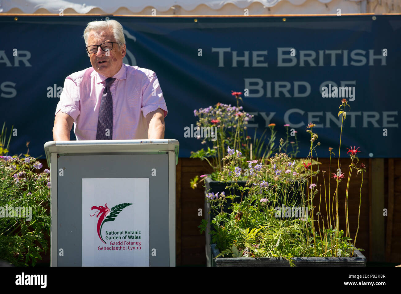 Señor Dafydd Elis-Thomas soy galés, Ministro de Gobierno de Cultura, Turismo y Deporte, habla en la inauguración oficial del Centro de Aves de Rapiña británica. Foto de stock