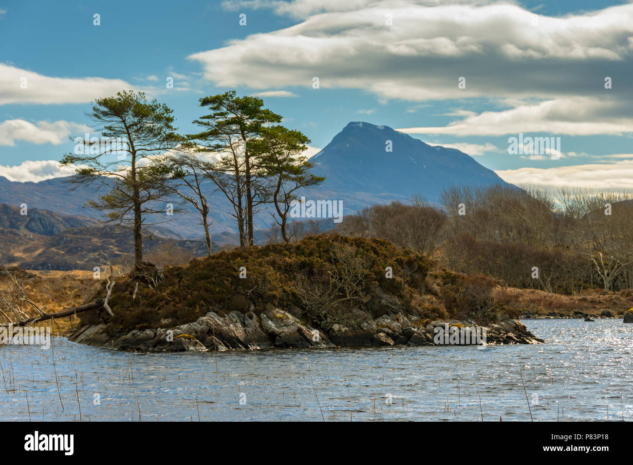 Desde Loch Druim Canisp Suardalain, Glen Canisp Bosque, cerca de Lochinver, Coigach, Sutherland, región de tierras altas, Escocia, Reino Unido Foto de stock