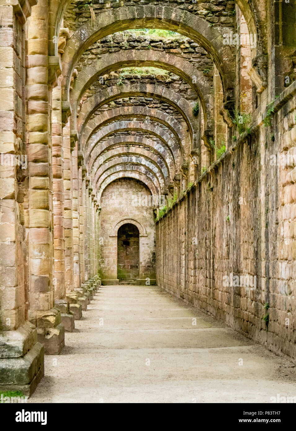 Edificio arco románico en ruinas de Fountains Abbey cerca de Ripon, en Yorkshire, Reino Unido Foto de stock