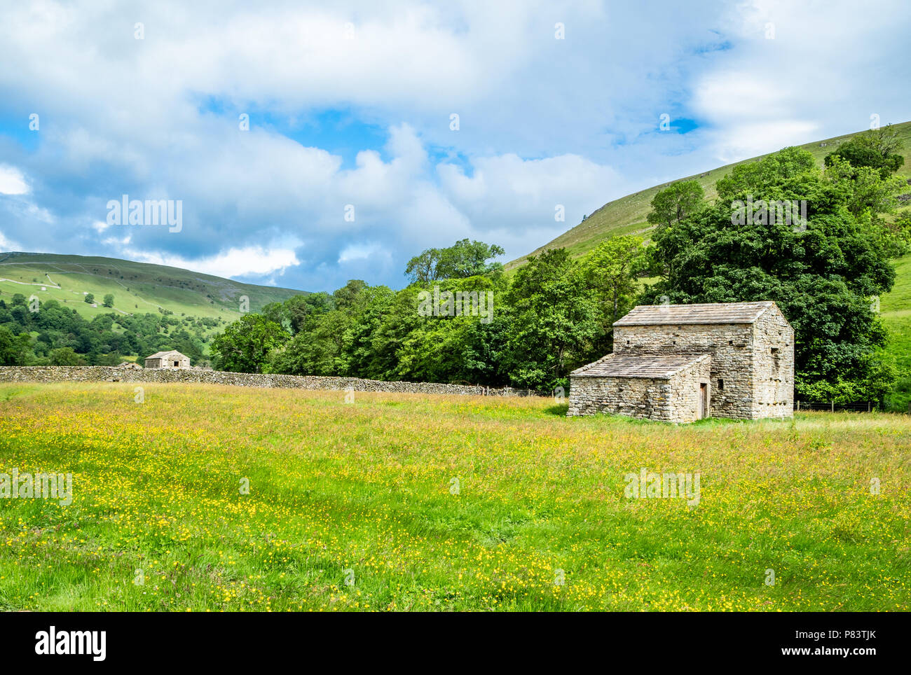 Prados floridos y graneros de campo cercano en upper Swaledale Muker en Yorkshire Dales UK Foto de stock