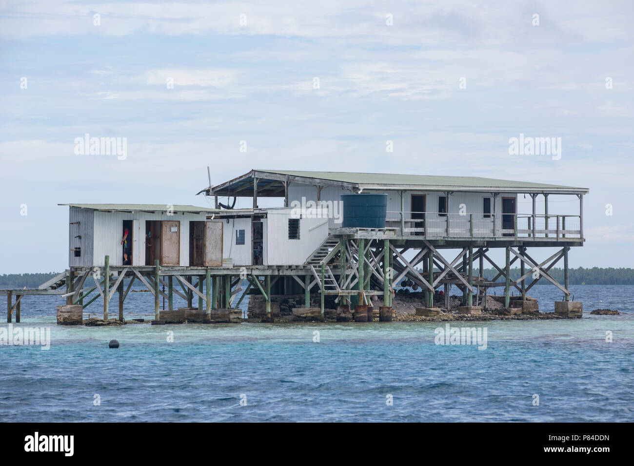 Granja de perlas en la laguna, Manihiki Islas Cook Foto de stock