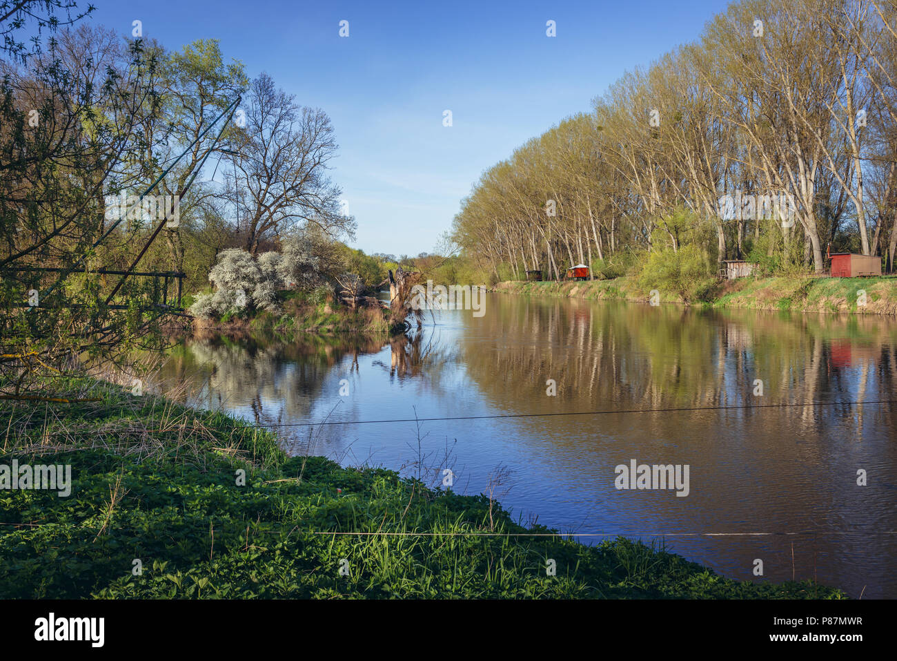 Tripoint de Austria, la República Checa y Eslovaquia en el río Morava y Thaya, ver wrom banco austríaco Foto de stock