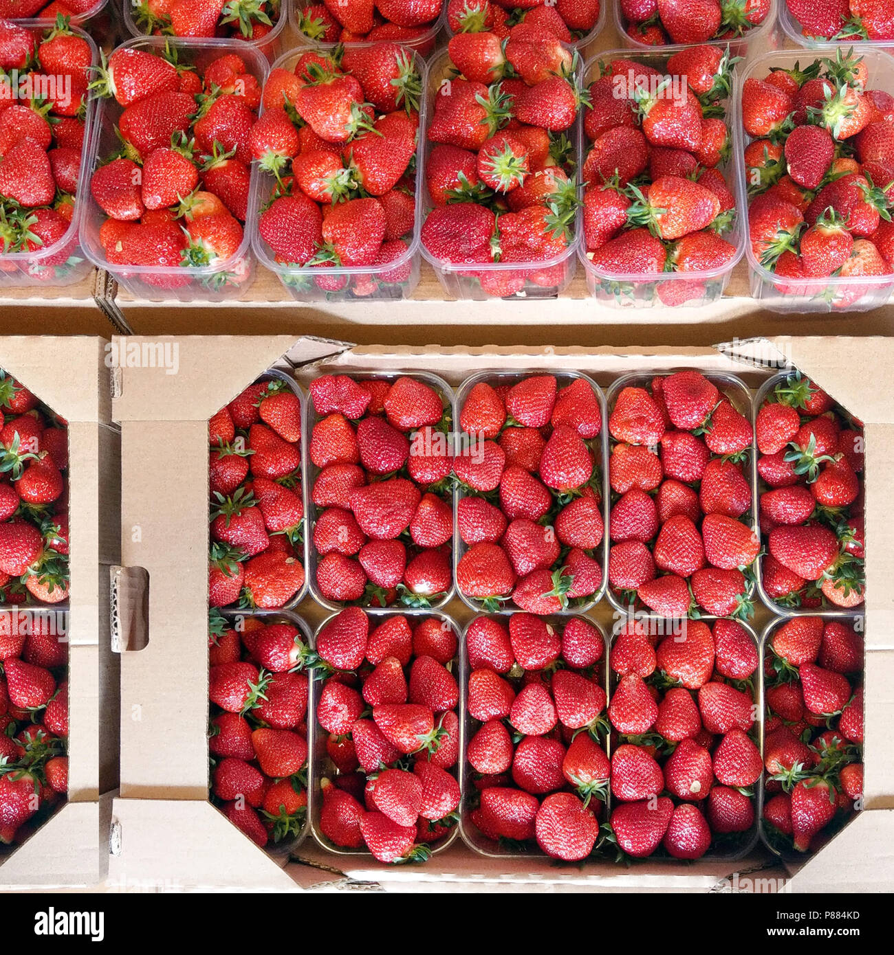 Fresas frescas en cajas de plástico Fotografía de stock - Alamy