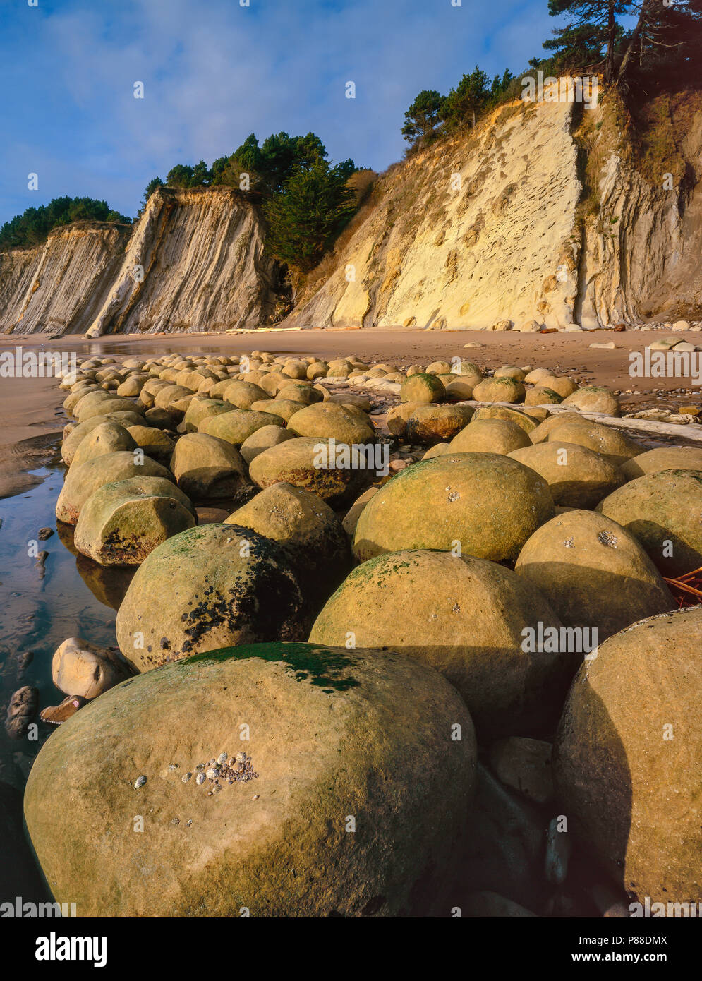 Bola de bolos Playa, Goleta Quebrada State Park, Costa Mendocino County, California Foto de stock