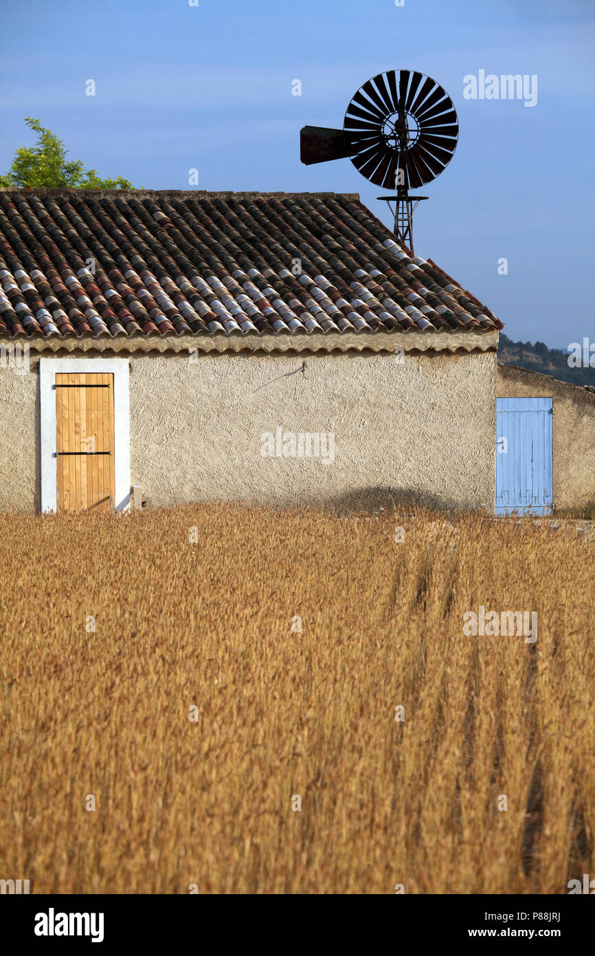 Molino de Antigua masía en campo de trigo, Provence, Francia, Europa Foto de stock