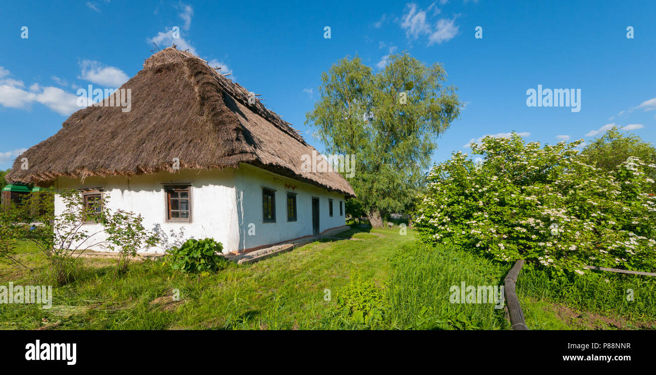 Casa Bajo Un Techo De Paja Con Paredes Blancas En El Campo Contra