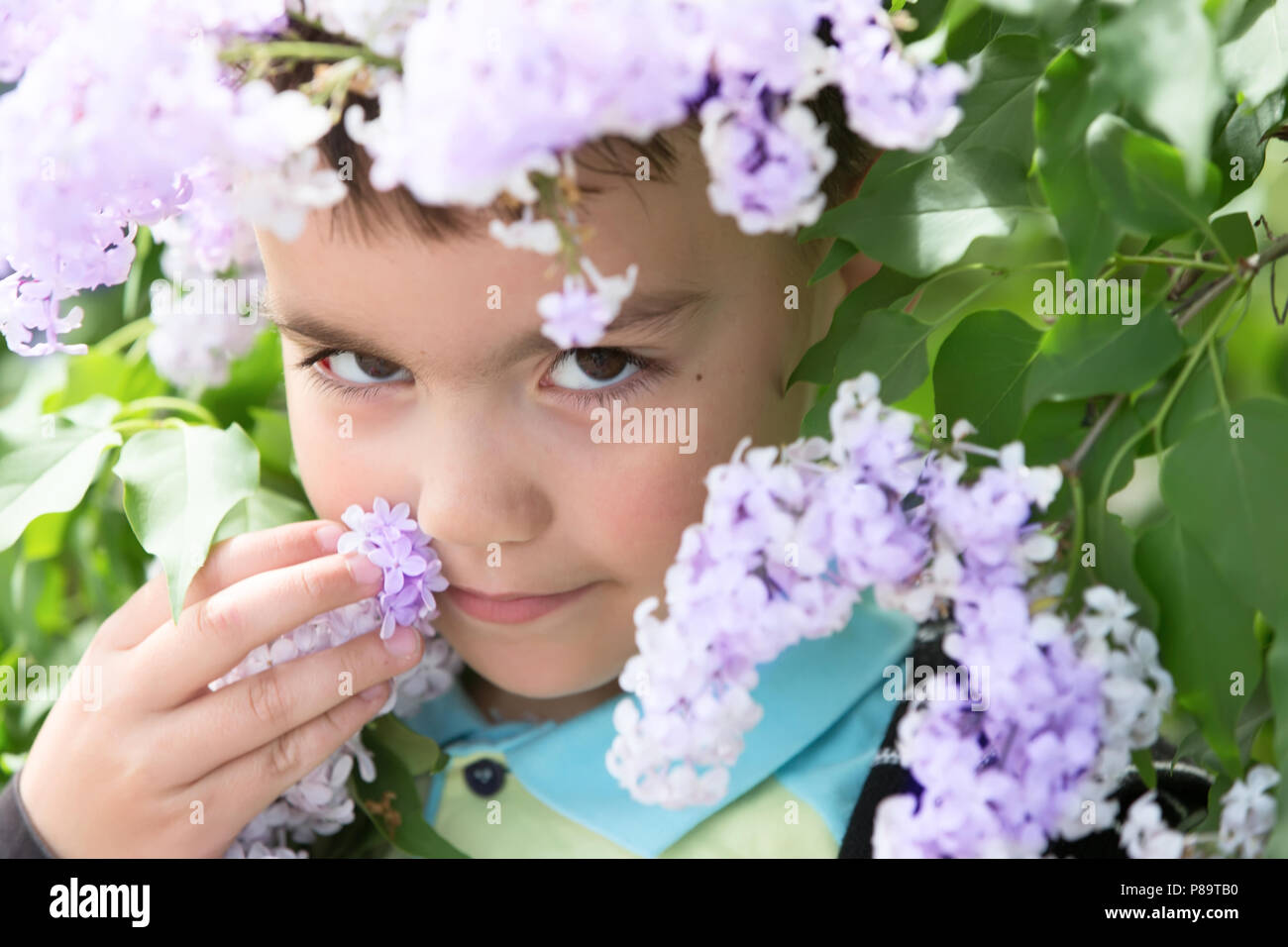 Belarús, la ciudad de Gomel, 16 de mayo de 2016. El Kindergarten es el quinto. Festival de Primavera.Little Boy en color lila.el olor de las flores Foto de stock