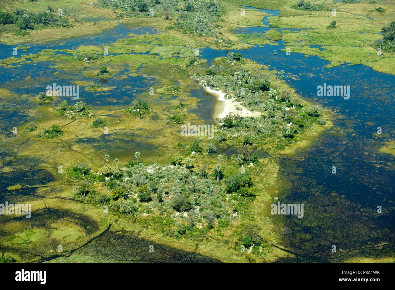 Los humedales, pantanos de agua dulce con canales e islas, vista aérea, Delta del Okavango, Moremi Game Reserve, Botswana Foto de stock
