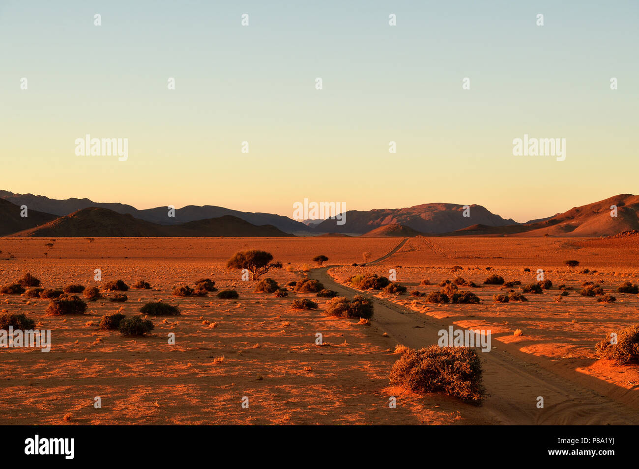 Pista de arena por el desierto de arena, Tiras montañas en el horizonte al ponerse el sol, Namibia Foto de stock