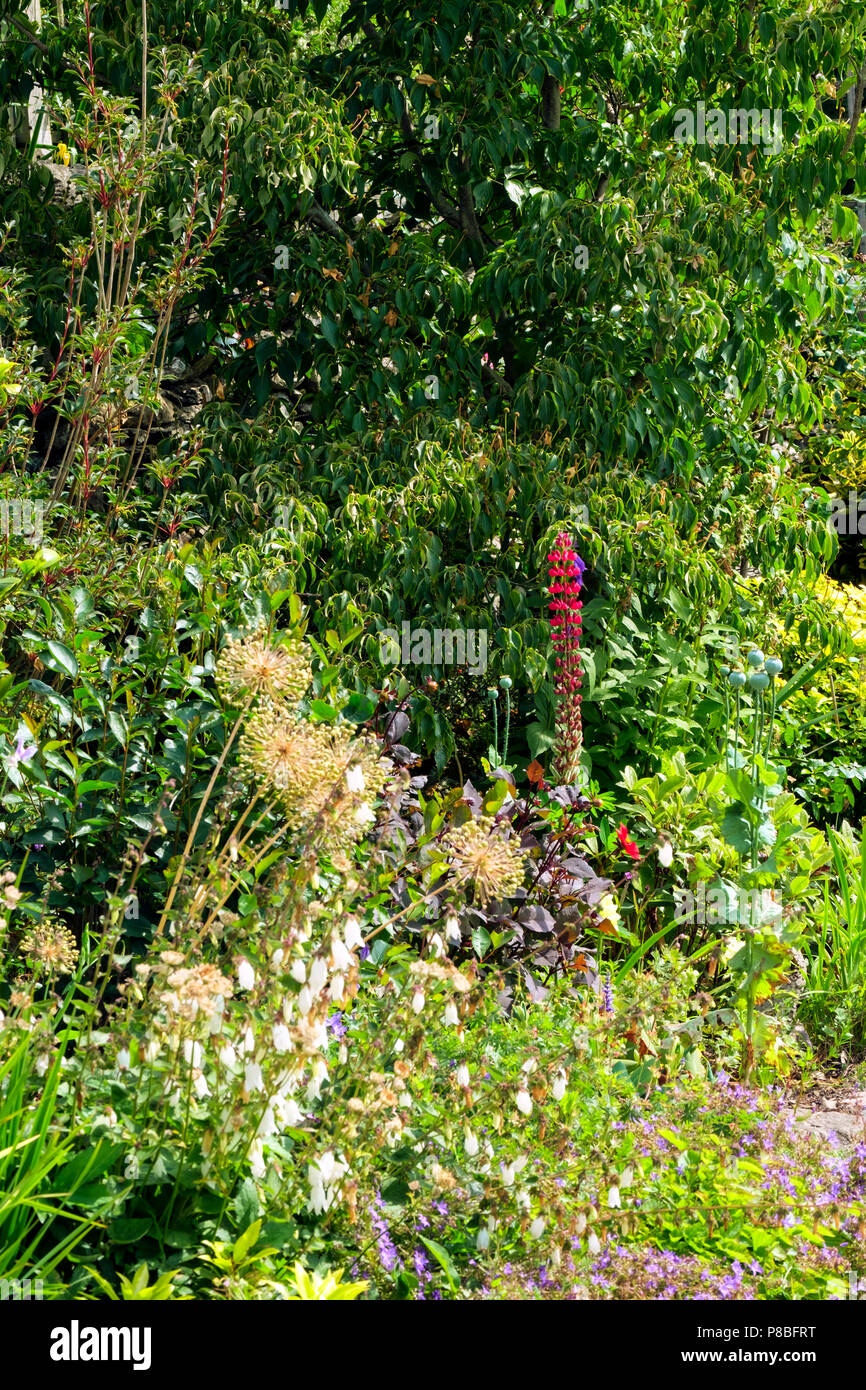 Un jardín de verano inglés colouful maceteros Foto de stock