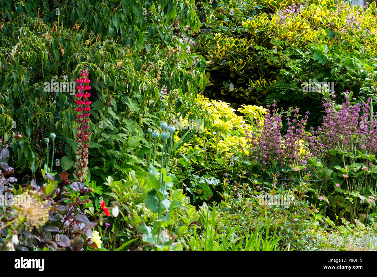 Un jardín de verano inglés colouful maceteros Foto de stock